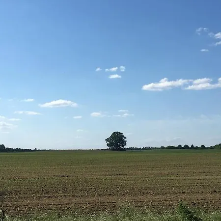 Im Naturschutzgebiet Gelegene * Templin