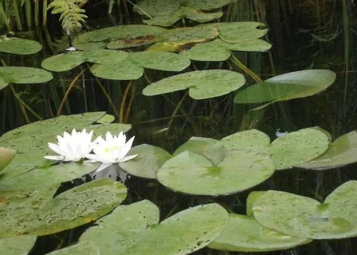 Lägenhet Im Naturschutzgebiet Gelegene